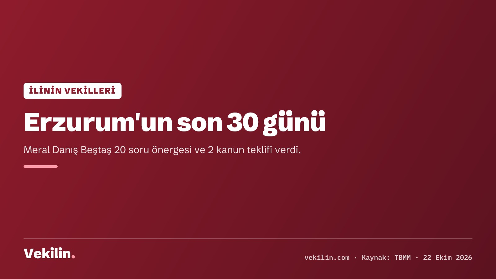 Erzurum'da son 30 gün: Meral Danış Beştaş 20 soru önergesi verdi