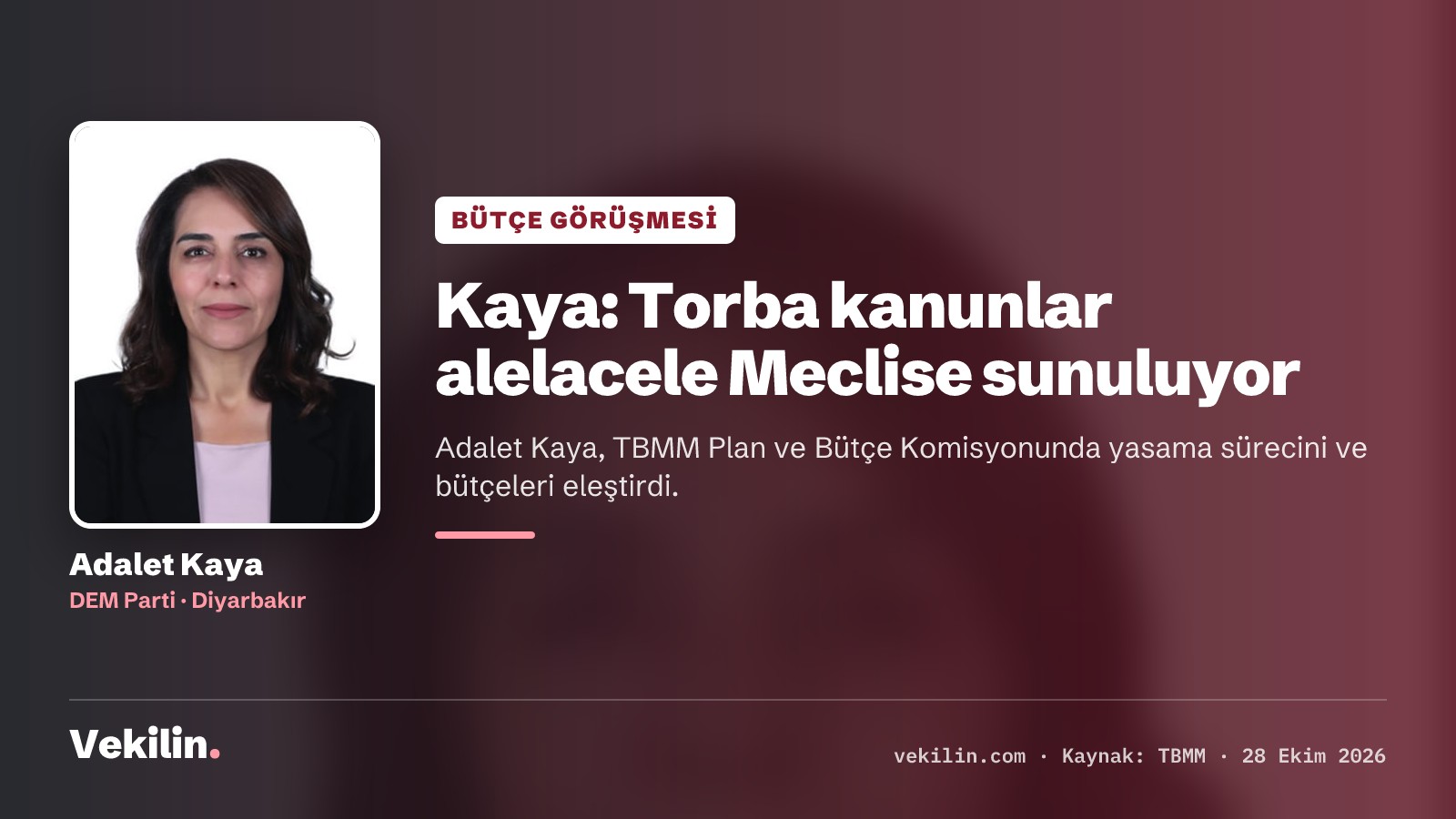 DEM Partili Adalet Kaya Plan ve Bütçe Komisyonunda konuştu