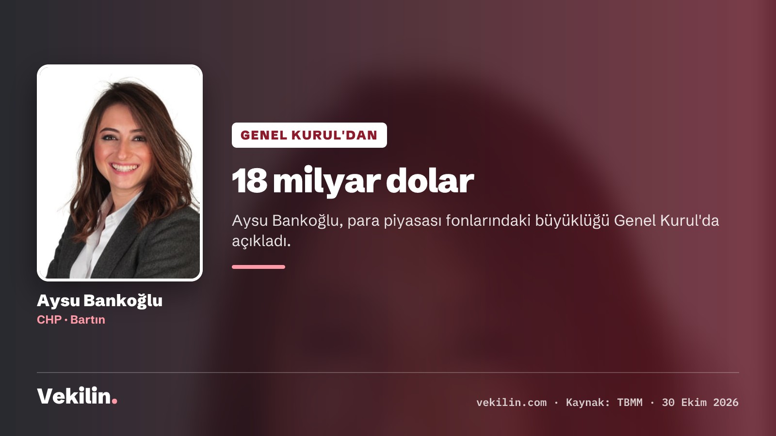 Aysu Bankoğlu: Para piyasası fonlarındaki 18 milyar dolar Meclis'te soruldu