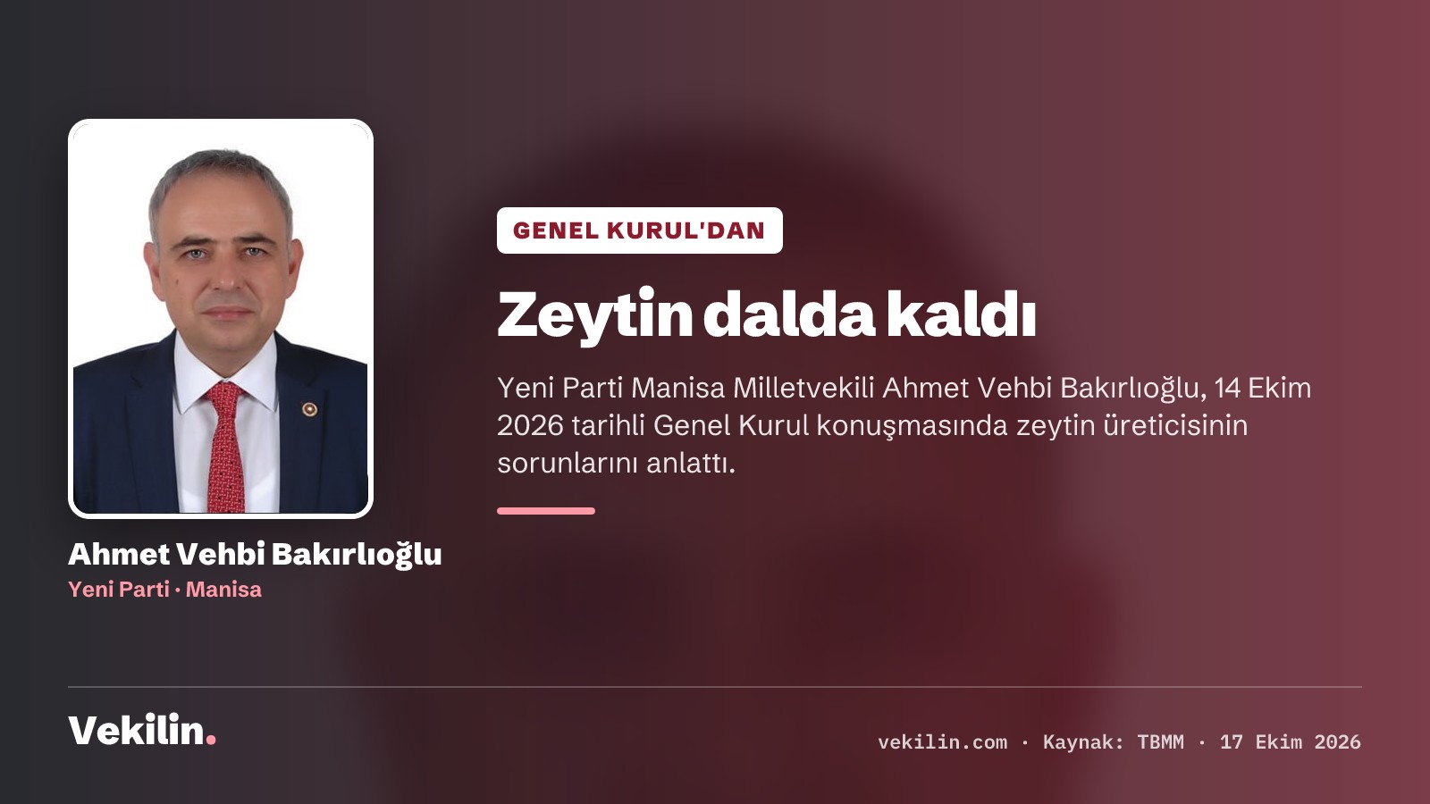 Ahmet Vehbi Bakırlıoğlu Meclis'te zeytin üreticisinin sorunlarını anlattı